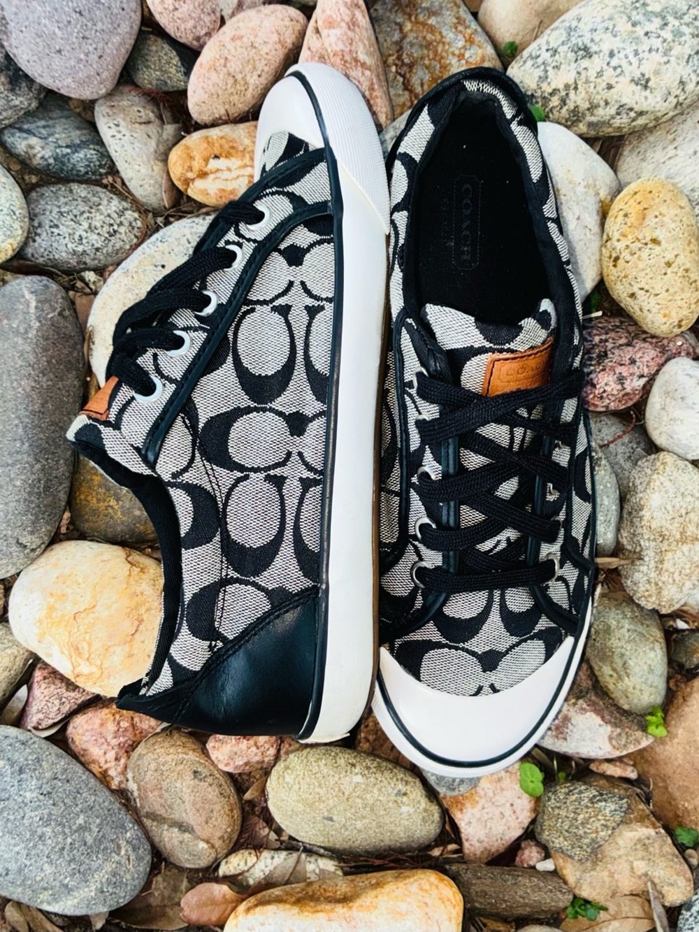 Coach Signature Sneakers